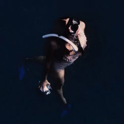 516395027_17846393268517024_7738973877745629523_n